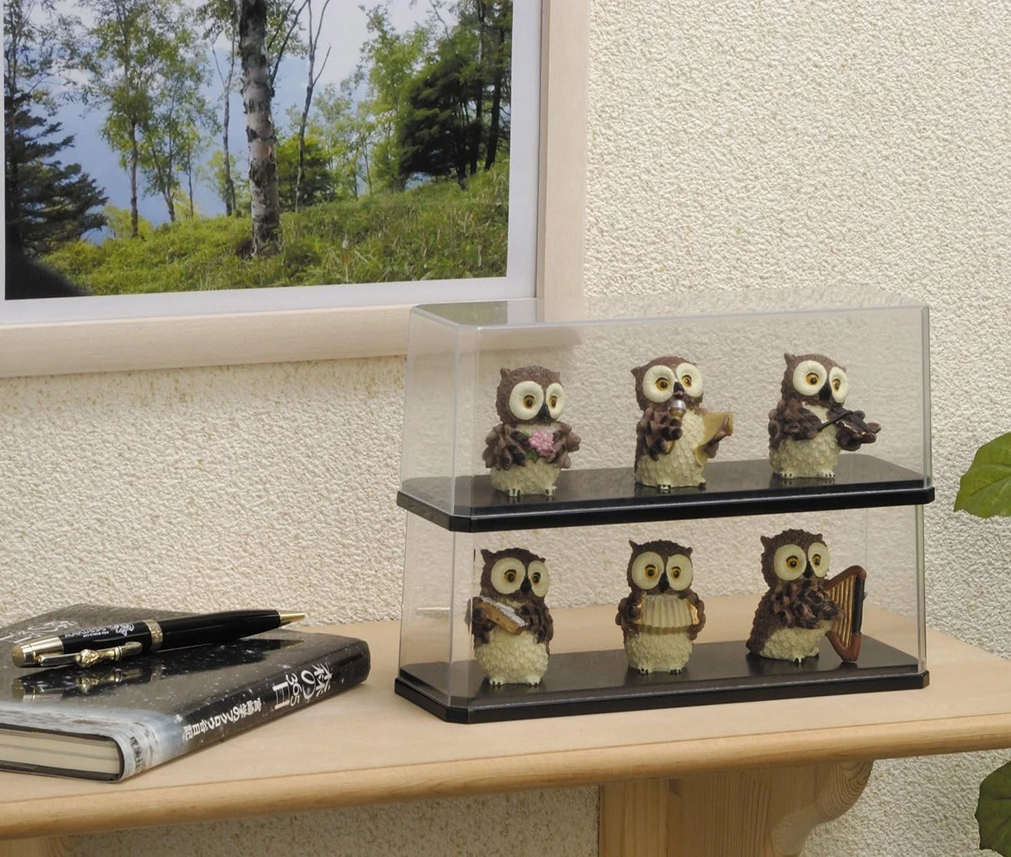 Izumi Kasai - Japan    Wide Display Cases for Diecast and Action Figures  Transparent